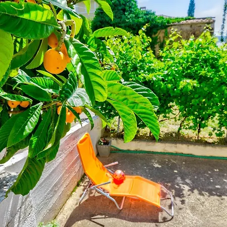 Miksic شقة سيلتسي